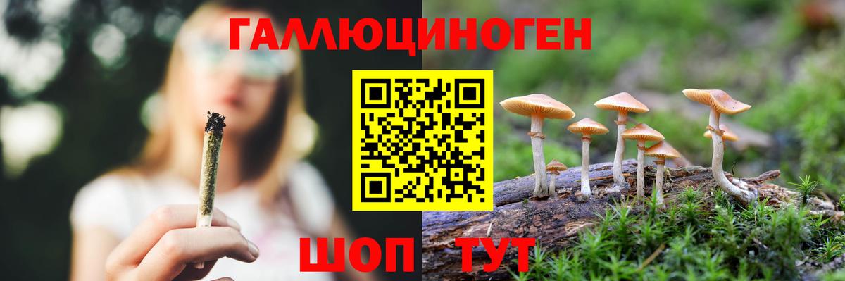 Псилоцибиновые грибы GOLDEN TEACHER Ачхой-Мартан